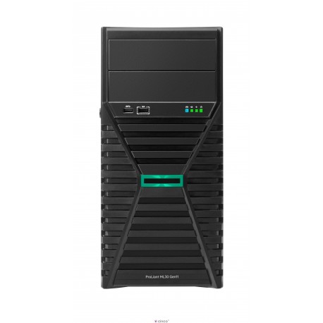 Hewlett Packard Enterprise HPE ML30 GEN11 P65094-001