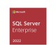 SQL Server 2022 Enterprise Core - 2 Core License Pack DG7GMGF0M7XV-003